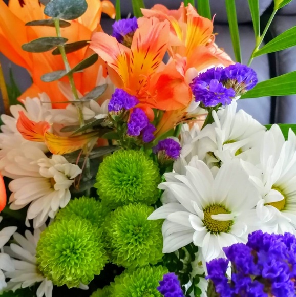 Meet your Posher, Kar - Picture 1 of 1